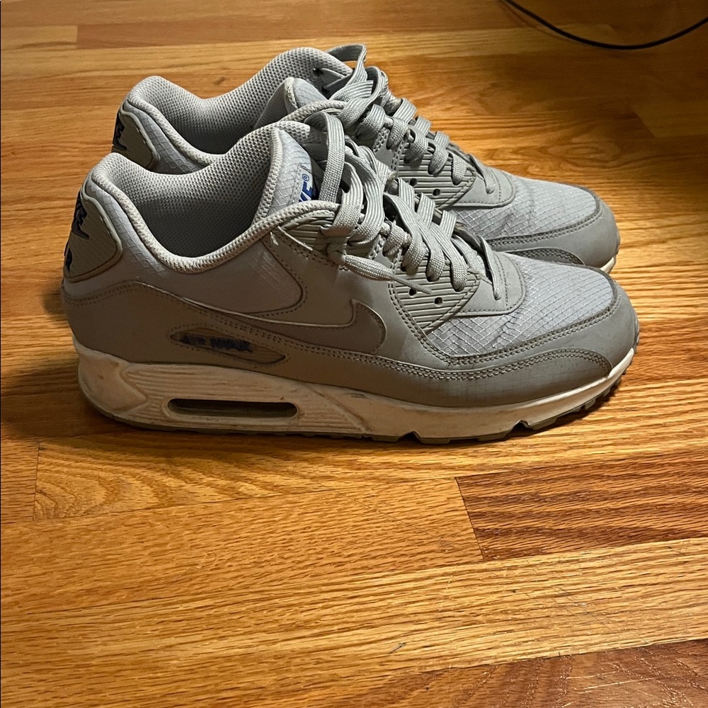 Nike Men’s Grey Low-Top Sneakers